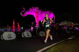 BIB: 
                            <button type="button" onclick="openModal(26544307)" class="btn btn-primary btn-sm float-right btn-popup" data-toggle="modal" data-target=".modal-high-quality">
                        <i class="fas fa-shopping-cart"></i> Add to Cart
                    </button>
                                            <button type="button" onclick="isThisMe(26544307, true)" class="btn btn-success btn-sm float-right btn-popup btn-isme hidden" data-toggle="tooltip" data-placement="bottom" title="นี่คือรูปของคุณใช่ไหม คลิกที่นี่เพื่อเอาเข้าอัลบั้ม">
                        <i class="fas fa-plus"></i> Add to album
                    </button>
                    <button type="button" onclick="isThisMe(26544307, false)" class="btn btn-warning btn-sm float-right btn-popup btn-isnotme hidden">
                        <i class="fas fa-ban"></i> Remove from album
                    </button>